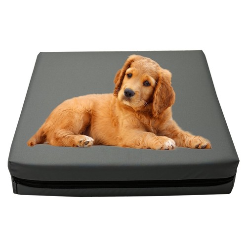 Heavy duty dog - heavy,