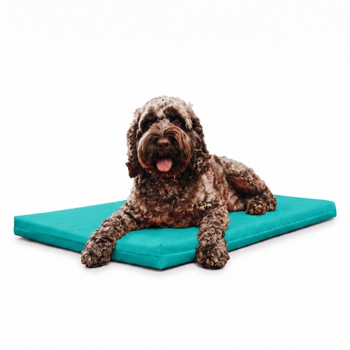 Maximum pet products - 2", tough