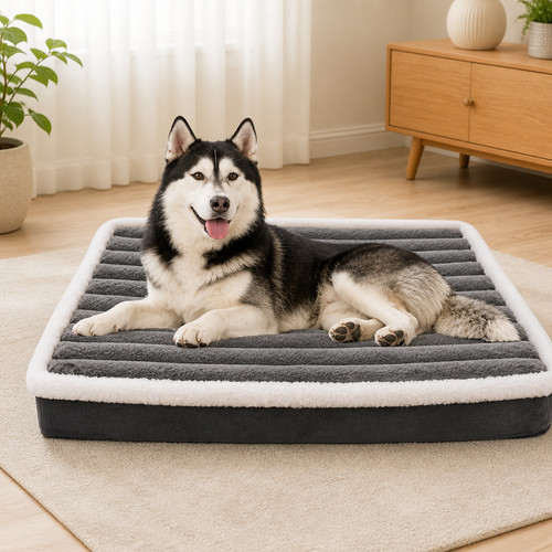 Calming dog bed memory - calming, foam