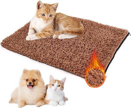 Dog bed - dog,