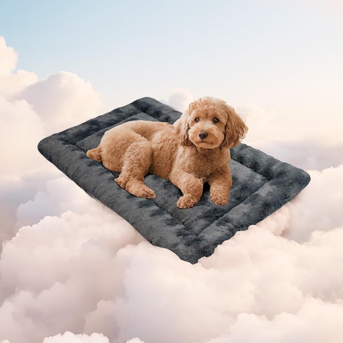 Medium dog crate - flat,