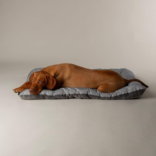 Grey dog crate bed mat - dog,