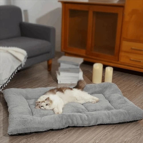 Dog cat soft pet - pet, large