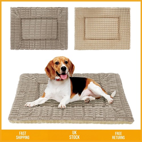 Plush reversible dog - reversible, pad