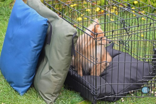 Waterproof dog crate - waterproof,