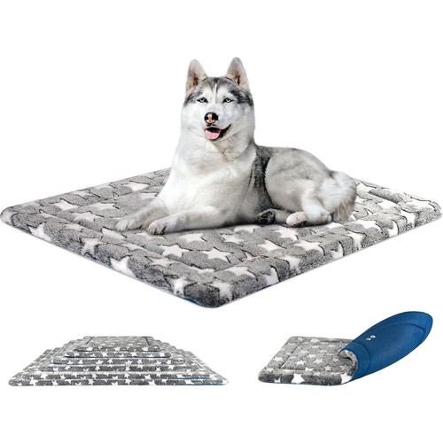Dog crate mat - dog, cool