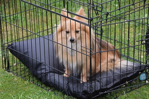Waterproof wipe clean crate - waterproof,,