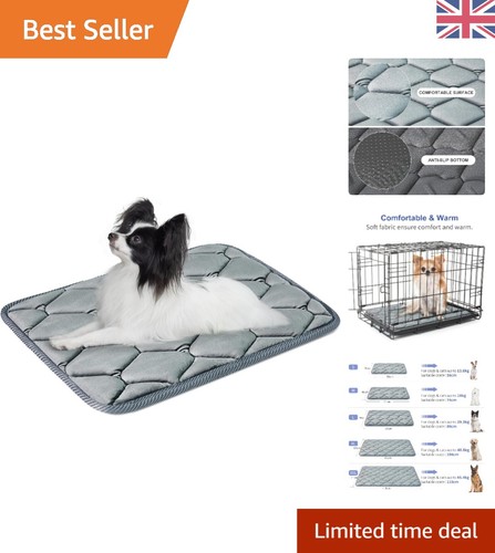 Orthopedic cooling dog - orthopedic,
